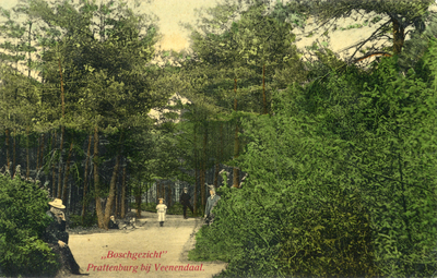 12252 Gezicht in een bosweg bij het huis Prattenburg aan de Cuneraweg te Rhenen, met enkele poserende personen.